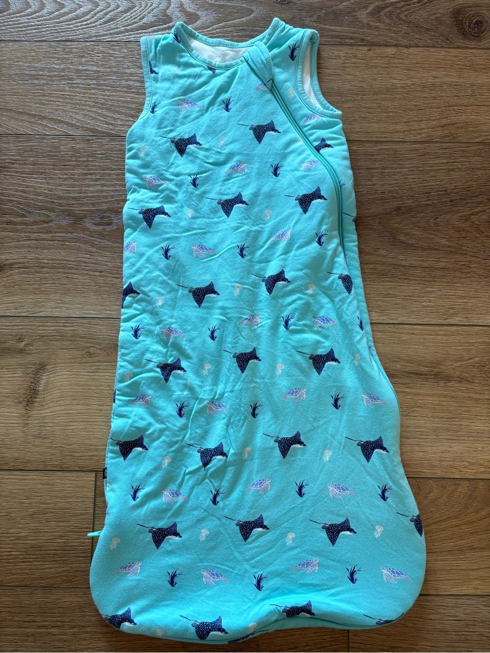 Kyte sleep sack size small